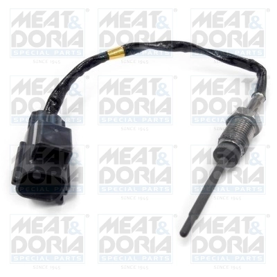 Sensor, exhaust gas temperature